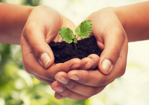 Women & Money: Are You Truly Financially Empowered?