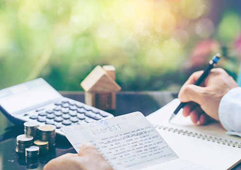 Mid-Year Investment Review